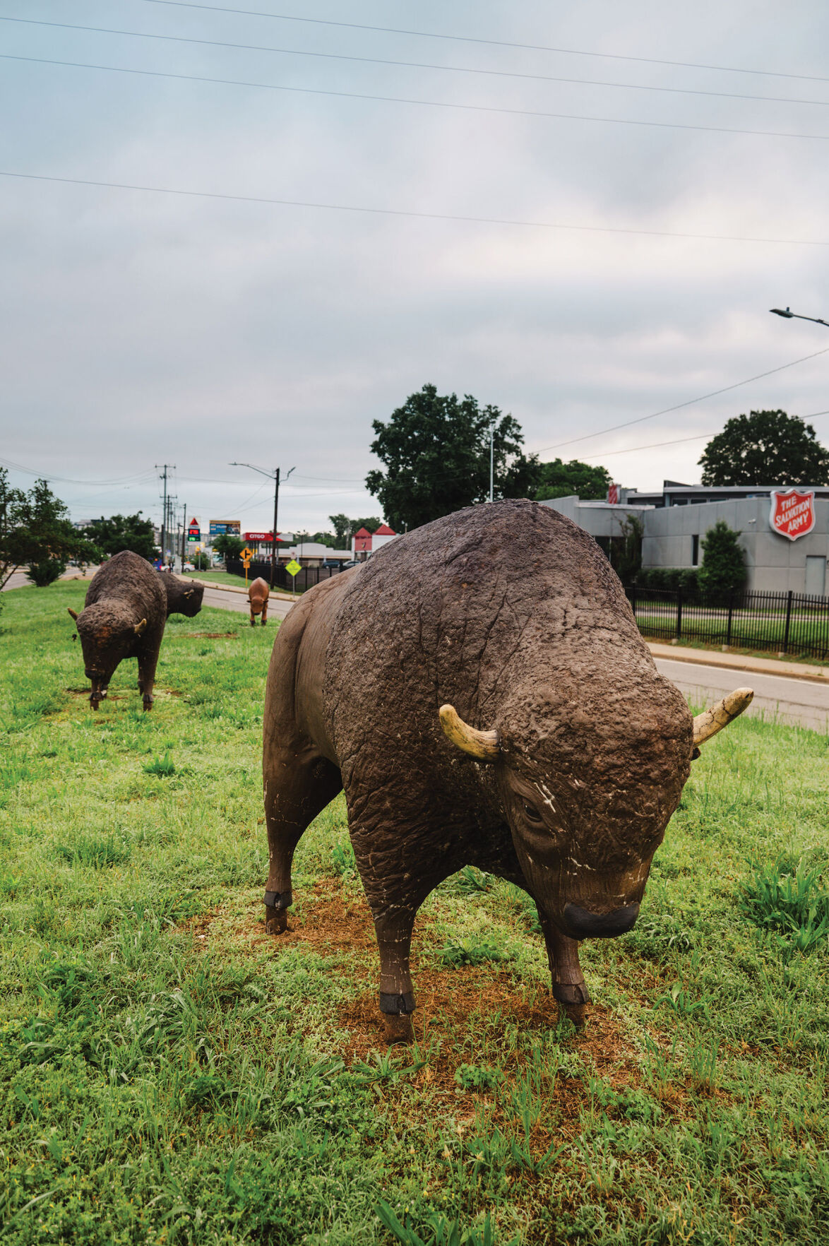 4.13.2025.AnimalSculptures-5337.jpg